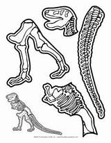 Dinosaurs Dinosaure Dinosaurios Squelette Dig Worksheets Lesson Mailbox Esqueleto Dinosaurio Bones Dino Fossils Beneath Slp Surface Dinosaurus Dinosaurier Dinosaurussen Enfant sketch template