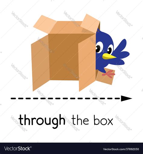 preposition movement bird walk  box vector image
