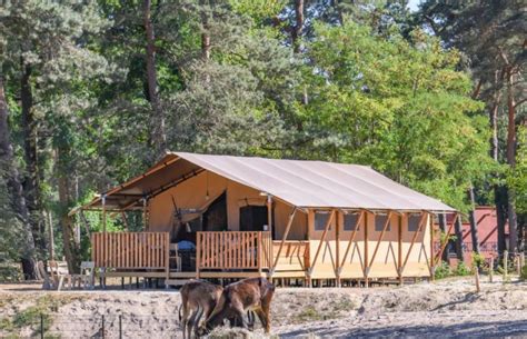 verblijf op safari resort beekse bergen glamping ticketspy