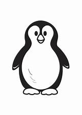 Pinguin Ausmalbilder Ausdrucken Bild Pinguinos sketch template