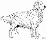 Labrador Coloring Pages Dog Getcolorings Printable Color Print sketch template