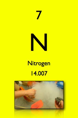 beearthscience nitrogen