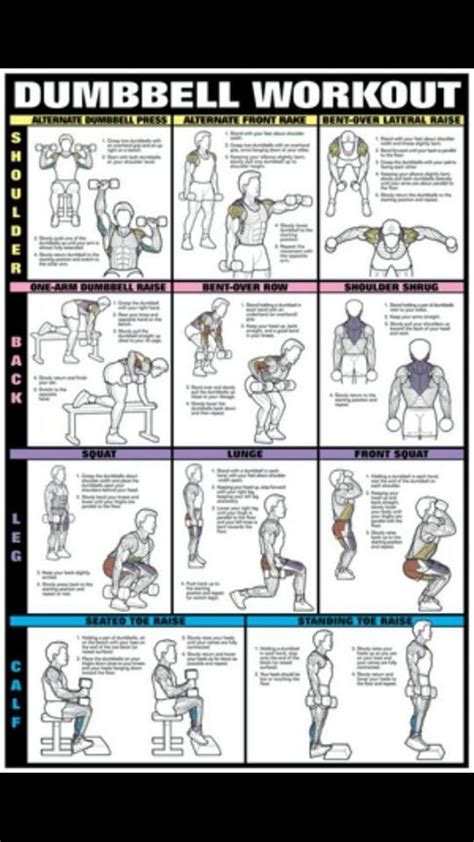 fitness  home  dumbbell workout dumbell workout workout posters