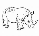 Coloring Rhinoceros Pages Kids Printable sketch template
