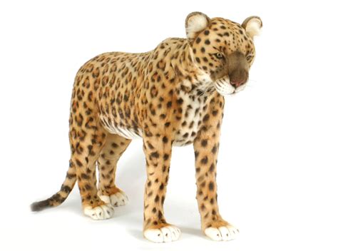 leopard standing  cmh hansa creation