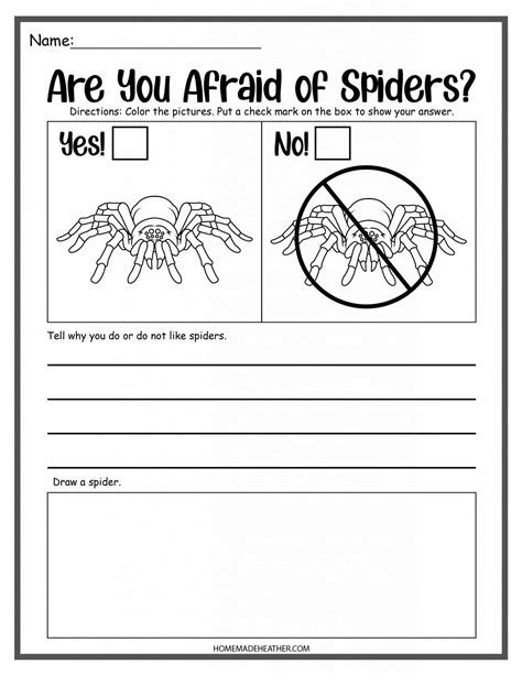 spider worksheets