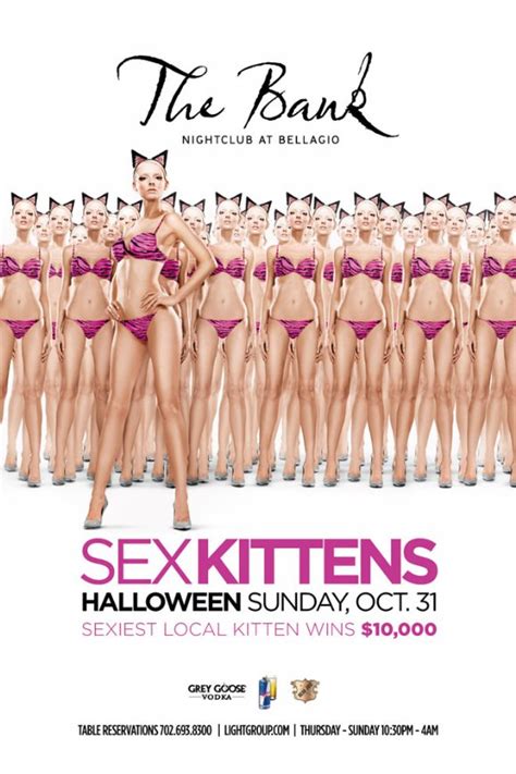 meo sex kittens at the bank sexiest local kitten contest free