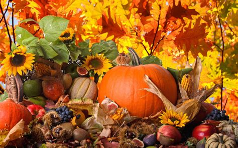 thanksgiving hd wallpapers background images