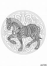 Mandala Coloring Horse Mandalas Pages Difficult Animals Color Patterns Cheval Beautiful Animal Adult Adults Print Interlaced Complex Elegant Background Printable sketch template