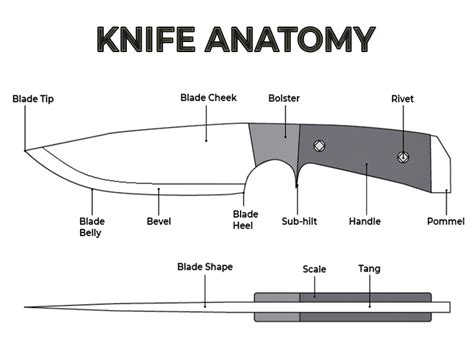 knife blade grind guide types   hunting lot
