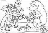 Hedgehog Colorare Riccio Bambini Disegni Ricci Istrice Arici Colorat Piccoli Erizos Scoiattolo Bosco Frutti Mangia Planse sketch template