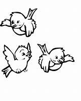Birds Coloring Pages Printable Kids Bird Printables Winter Printablee Borders Via sketch template