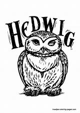 Potter Harry Coloring Pages Hedwig Hogwarts Printable Owl Sheets Print Colouring Castle Ginny Kids Book Gryffindor Drawings Cartoon Drawing Color sketch template