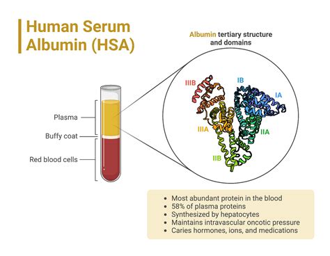 human serum albumin hsa biorender science templates