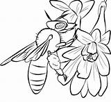 Coloring Bees Bestcoloringpagesforkids Flowers Insect sketch template