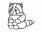 Raccoon Seated Coloringcrew Coloring sketch template