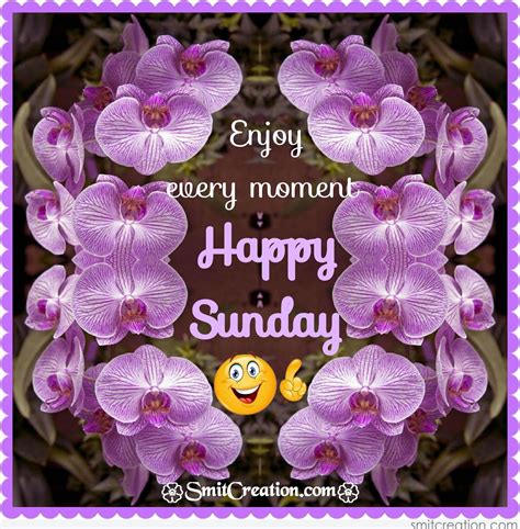 enjoy  moment happy sunday pictures   images