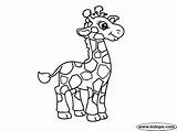 Giraffe Coloring Cute Pages Print Baby Kids Getcoloringpages Jiraffe Animal sketch template