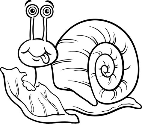 snail coloring pages  printable coloring pages  kids