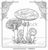 Agaric Designlooter Poisonous sketch template