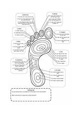 Footprint sketch template