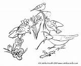 Coloring Pages Birds Flowers Spring Printable Pdf Popular Wall sketch template