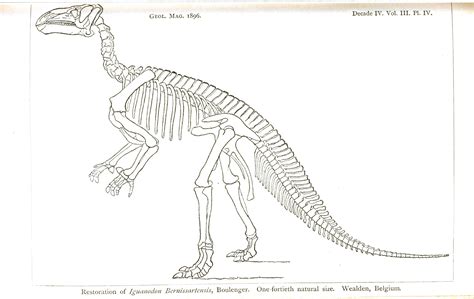 peerless dinosaur bones coloring pages spring cut  paste worksheets
