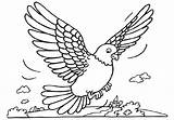 Burung Mewarnai Pigeon Duiven Merpati Kleurplaten Dara Pigeons Tauben Duif Malvorlagen Kleurplaat Coloriages Animaatjes Terbang Paud Piccioni Sketsa Piccione Taube sketch template