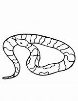 Sarpe Colorat Desene Planse Hibernation Snakes Worksheet Animal sketch template