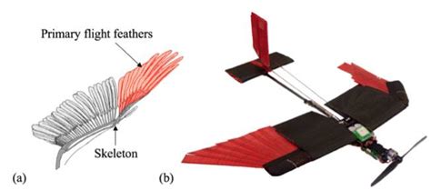 drone  bird  features including precision flying feathers slashgear