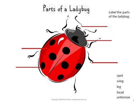 sweet tea classroom ladybugs   classroom education science pinterest