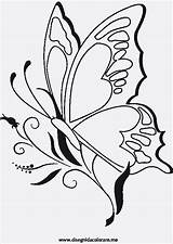 Schmetterling Blume Malvorlagen Ranken Frisch sketch template