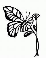 Butterfly Outline Drawing Outlines Flower Butterflies Flowers Clipart Drawings Clip Cliparts Coloring Svg Silhouette Animals Tattoo Pages  Library Designs sketch template