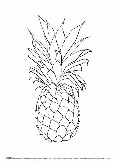 nutrition coloring activities fresh pineapple coloring page luxury