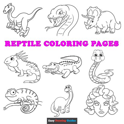 printable reptile coloring pages  kids