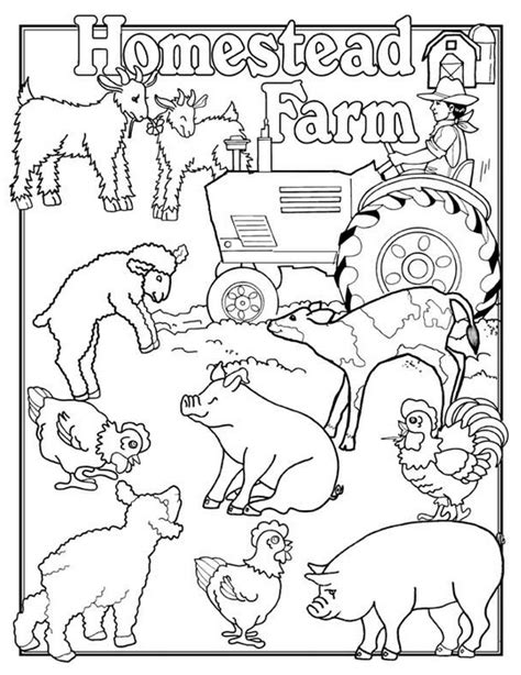 farm animals coloring page coloring page book