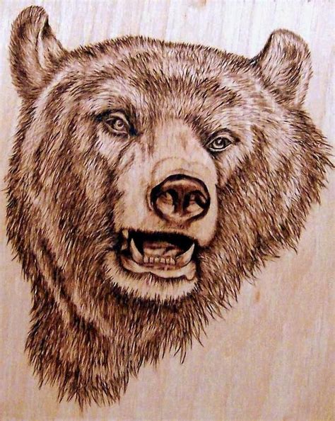 grizzly bear grizzly bear pyrography  danette smith grizzly bear