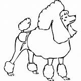 Poodle Toy Outline Drawing Clip Getdrawings Clipart Dog Line Clipartmag sketch template