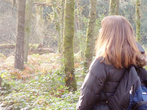Six Week Forest Bathing Programme The Forest Bathing Institute