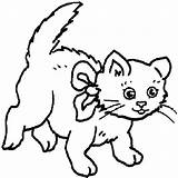 Cat Funny Coloring Pages Printable Getcolorings Kids sketch template