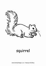 Squirrel Colouring Coloring Pages Simple Red Children Animals Gruffalo Autumn Squirrels Kids Pen Ink Winter Animal Drawings Activityvillage 48kb British sketch template