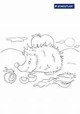 Hedgehog Coloring Pages Realistic Template Coloringtop sketch template
