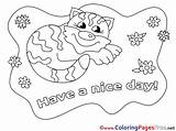 Cat Nice Colouring Coloring Sheet Title Cards sketch template