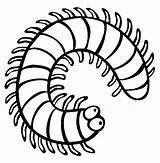Coloring Millipede Centipede Insect Pages Color Clipart Creepy Cartoon Centipedes Colouring Crawlers Kids Clip Insects Print Sheets Millipedes Animals Colour sketch template