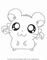 Coloring Hamster Pages Cute Comments sketch template