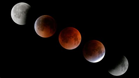 set  alarm   early morning total lunar eclipse  october  kqed