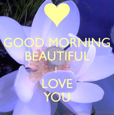 Good Morning Beautiful I Love You Popularquotesimg