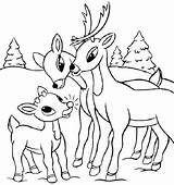 Deer Coloring Pages Baby Cute Kids Printable Family Whitetail Buck Drawing Print Drawings Easy Color Skull Colouring Getcolorings Rated Tailed sketch template