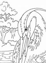 Coloring Pages Digital Heron Blue Great Citizenship Getcolorings Adult Etsy Pattern Template Color sketch template
