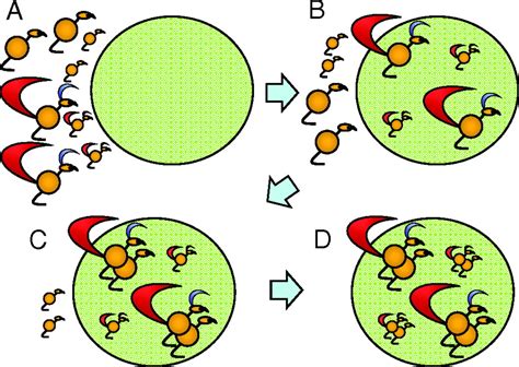 Mate Choice And Sexual Selection What Have We Learned Since Darwin Pnas